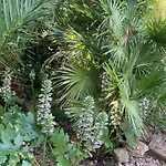 Sanssoucis *